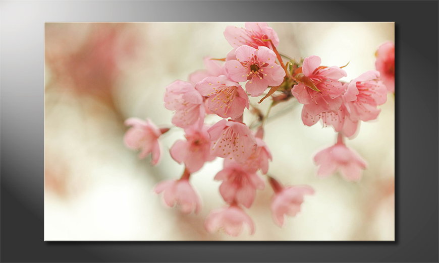 Décor-moderne-Cherry-Blossoms-80x50-cm