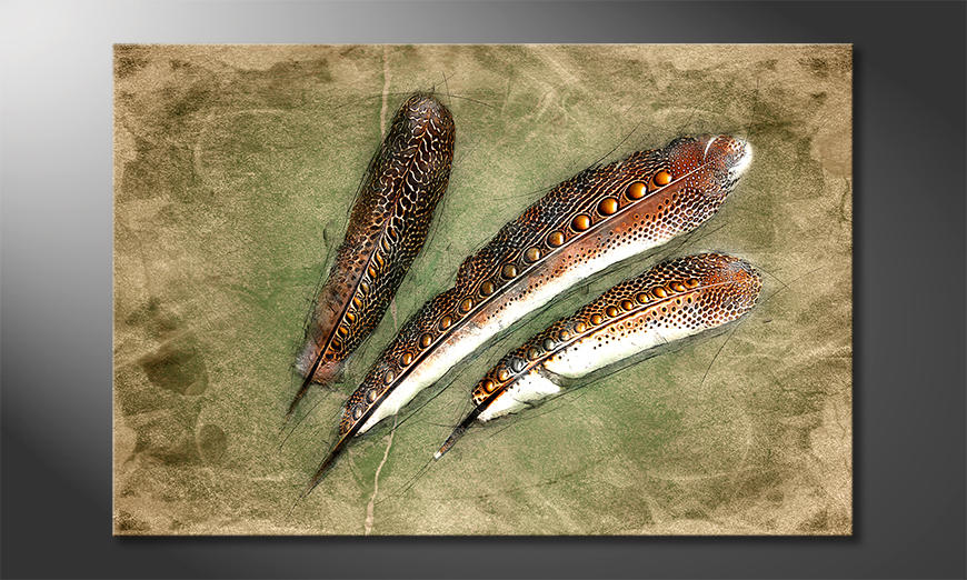 Décor moderne Feather Of Pheasan