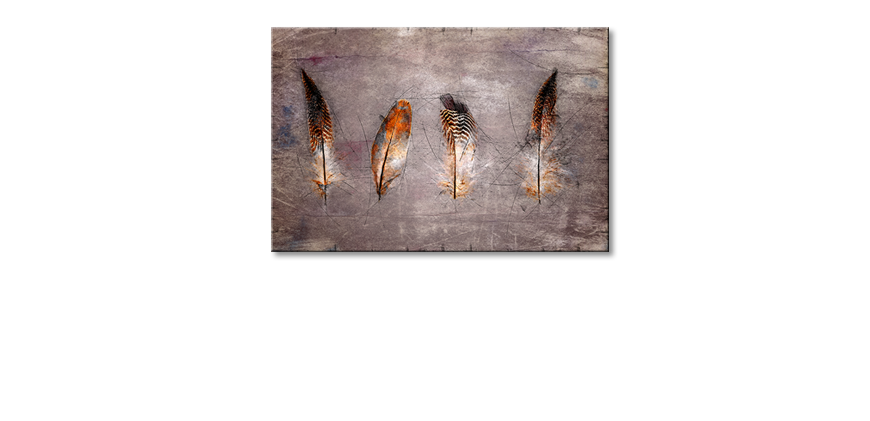 Décor-moderne-Four-Feathers