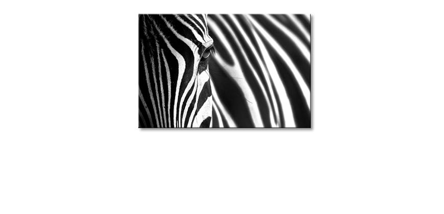 La-belle-peinture-Animal-Stripes
