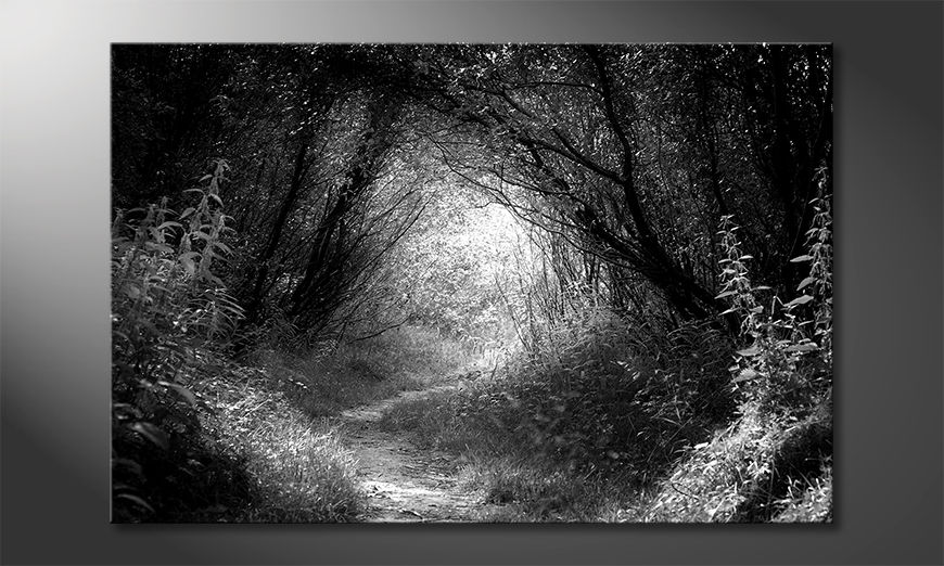 La-belle-peinture-Way-In-Deep-Forest