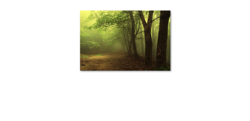Le-tableau-exclusive-Green-Forest-120x80-cm