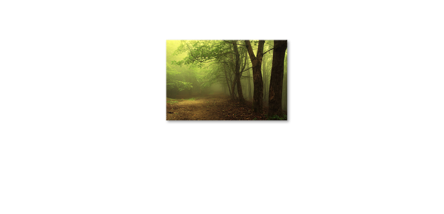 Le-tableau-exclusive-Green-Forest-90x60-cm