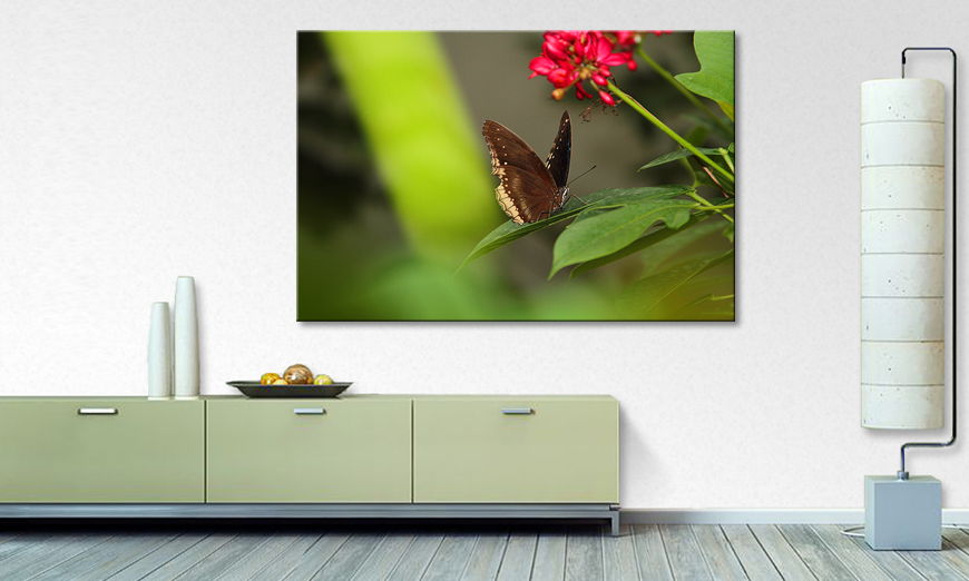 Le tableau imprimé Brown Butterfly