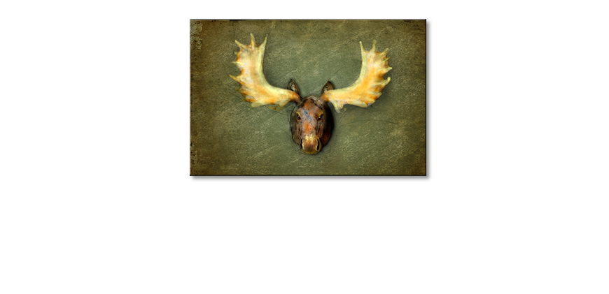 Le-tableau-moderne-The-Elk