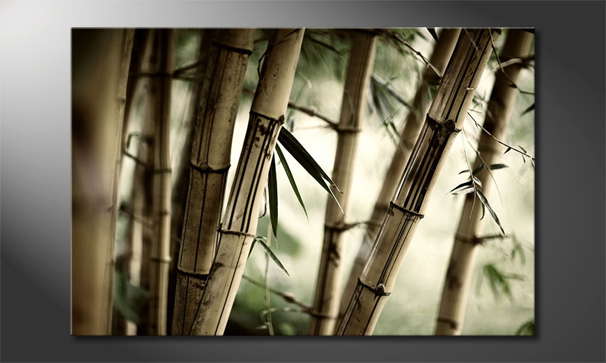 Le-tableau-mural-Bamboo-Forest-60x40-cm