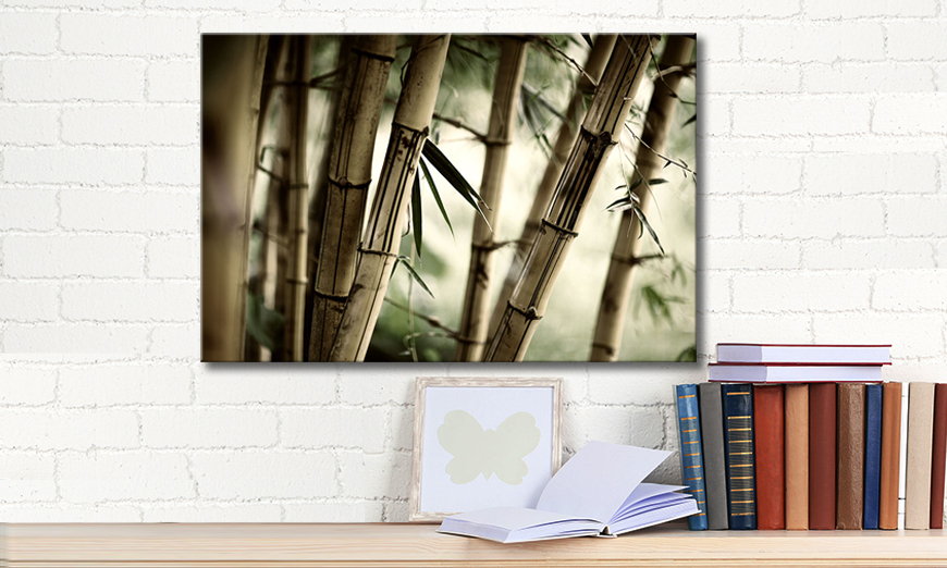 Le tableau mural Bamboo Forest 60x40 cm