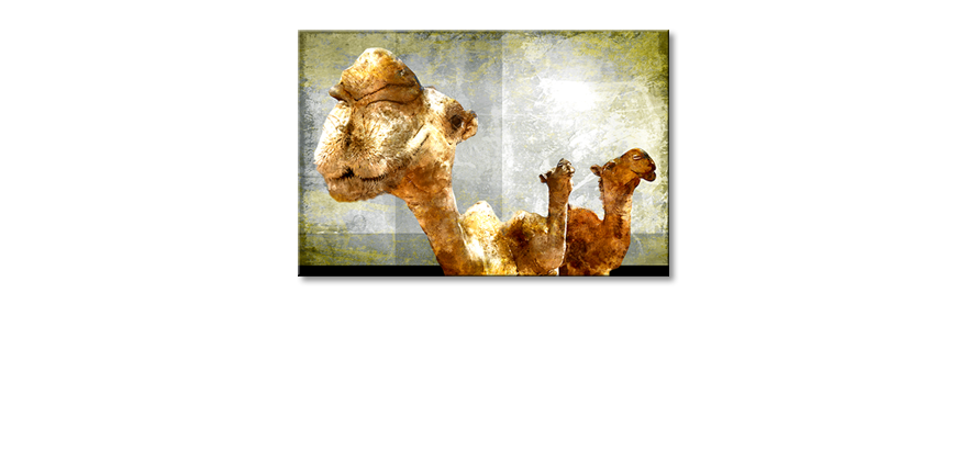 Le-tableau-mural-Camel-Gang