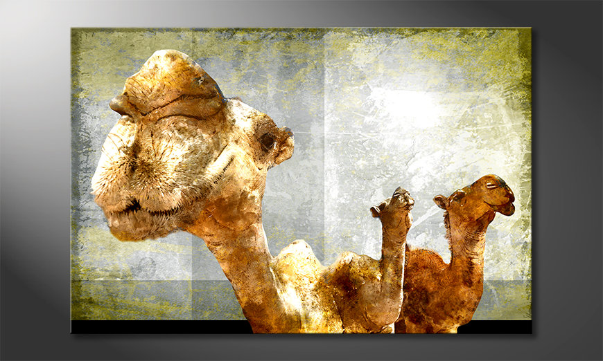 Le tableau mural Camel Gang