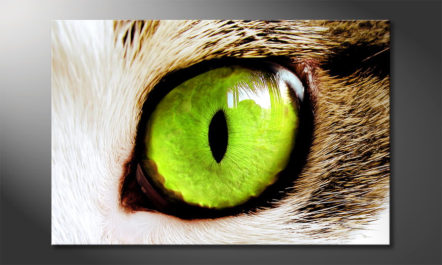 Le tableau mural Cat's Eye