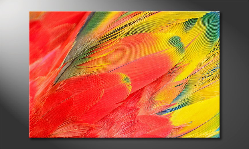 Le tableau mural Parrot Feathers
