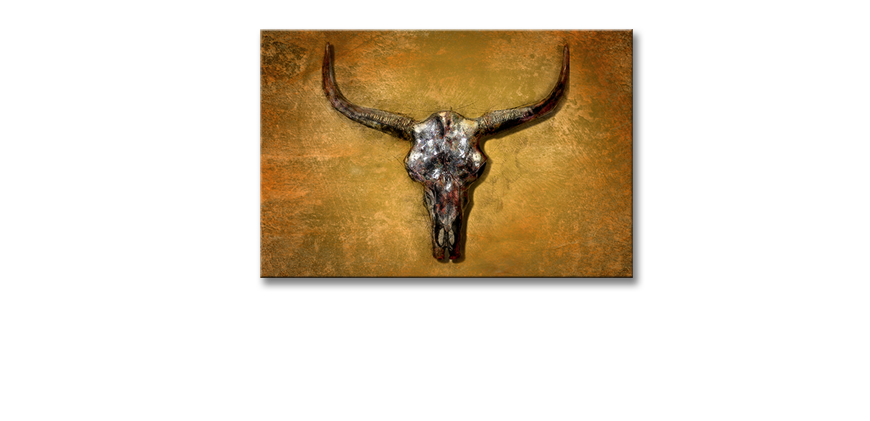Le-tableau-mural-Texas-Buffallo-60x40-cm