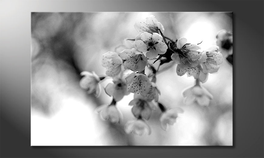 Les-tableau-imprimés-Cherry-Blossoms