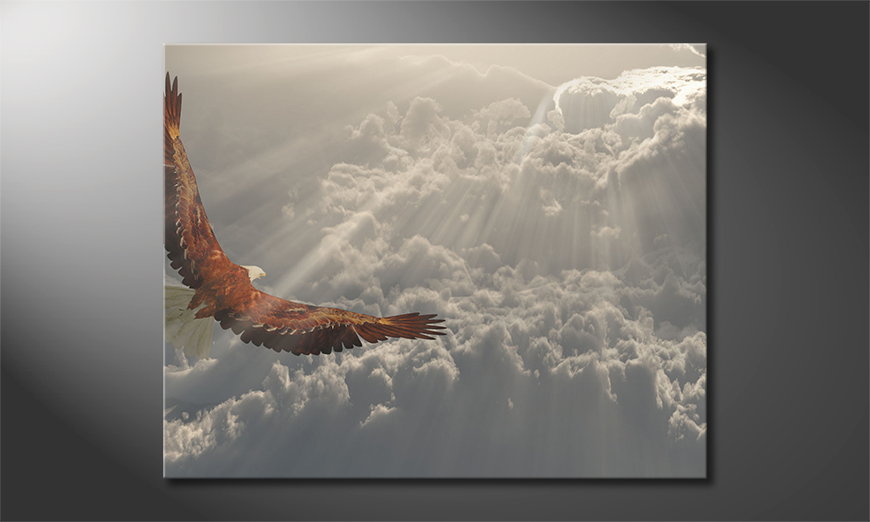Les-tableau-imprimés-Eagle-in-Flight-100x80-cm