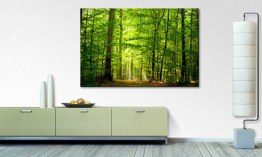 Limpression sur toile Into the Forest