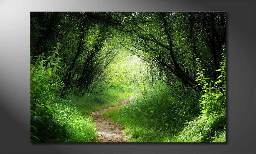 L'impression sur toile Way into the Forest
