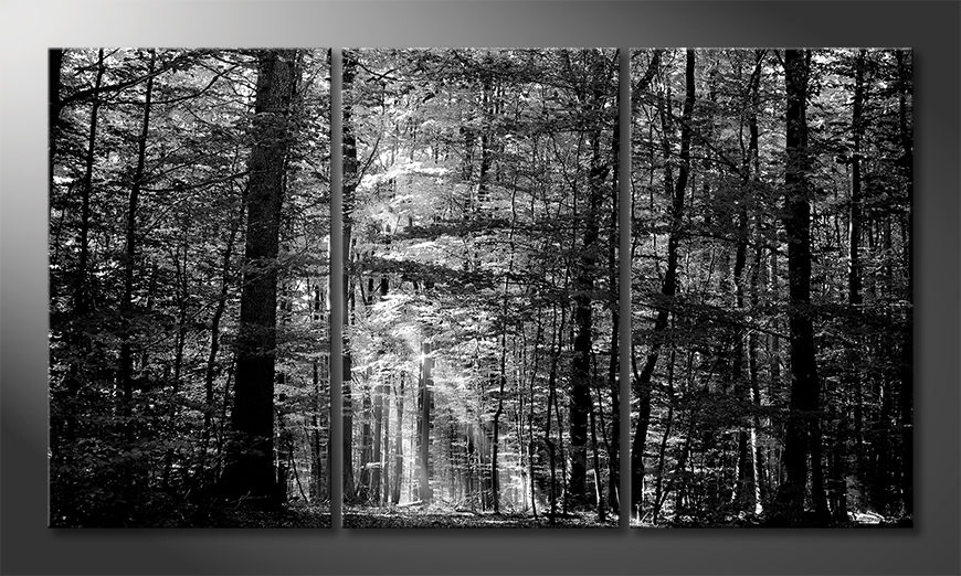 Toile-moderne-Into-the-Forest-180x100-cm
