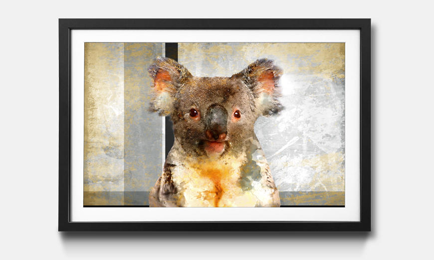 La reproduction encadrée Chill Koala