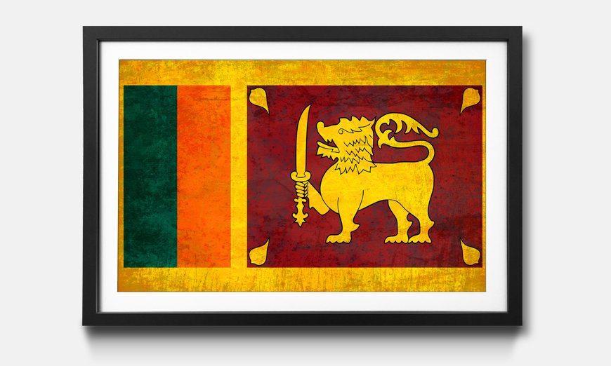 Le tableau encadré Sri Lanka
