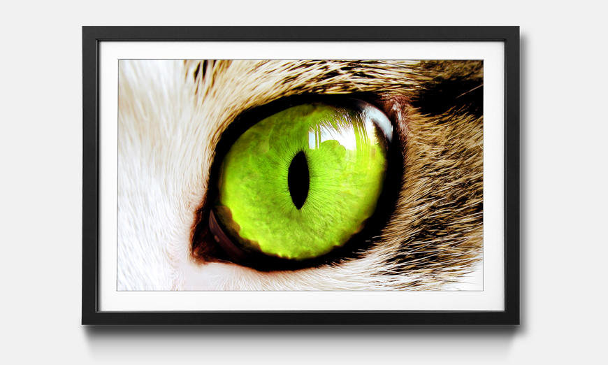 Reproduction encadrée Cats Eye Green