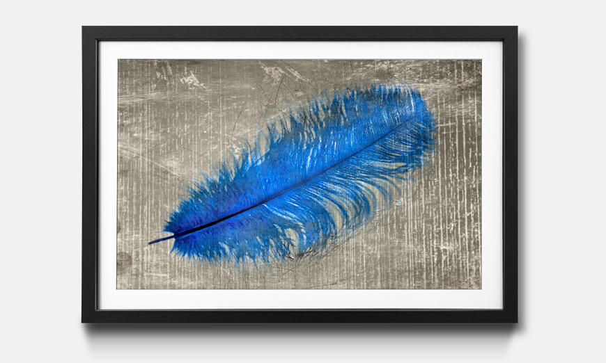 Reproduction encadrée Feather In Blue